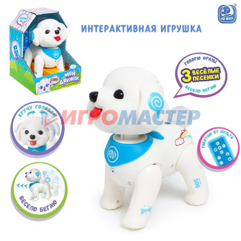 IQ BOT  Интерактивная игрушка "Мой дружок", звук, свет SL-05863