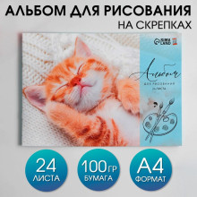 Альбом для рисования на скрепке, 24 листа "Котик"