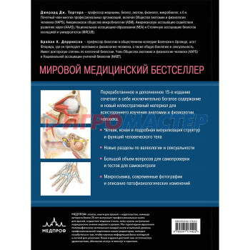 Анатомия. Физиология. Фундаментальные основы. 15-е издание. Тортора Д., Дерриксон Б.