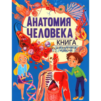 Анатомия человека. Книга для мальчиков и девочек. Голотина Л.Ю.