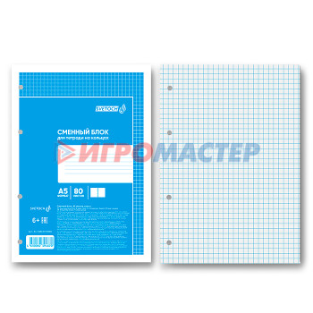 Тетради 100-200 листов Сменный блок A5, 80 л. термоусадочная пленка, 65 г/кв.м , белизна 100 %