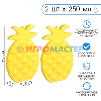 Аккумулятор холода "Мастер К. Ананас", 250 мл, 19,5 х 12,5 см, желтый, набор 2 шт