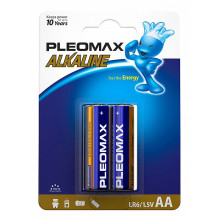 Батарейки солевые PLEOMAX LR6 BL2