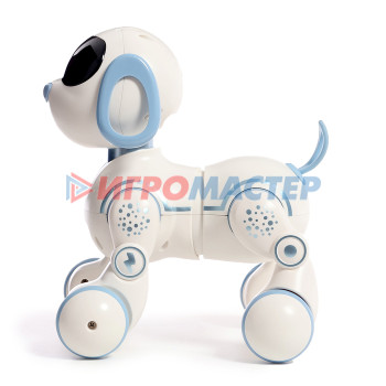 IQ BOT Робот собака "IQDog" SL-06846