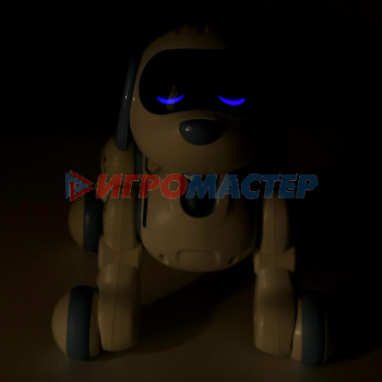 IQ BOT Робот собака "IQDog" SL-06846