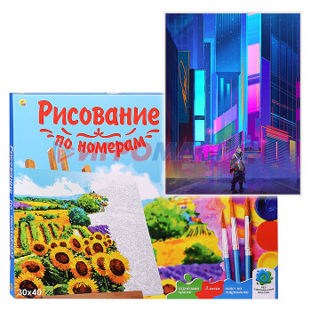 Рисование, роспись, витражи Холст с красками 30х40 по номерам &quot;Город будущего&quot; (20цв) 